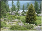 foto Laghi di San Giuliano e Garzone